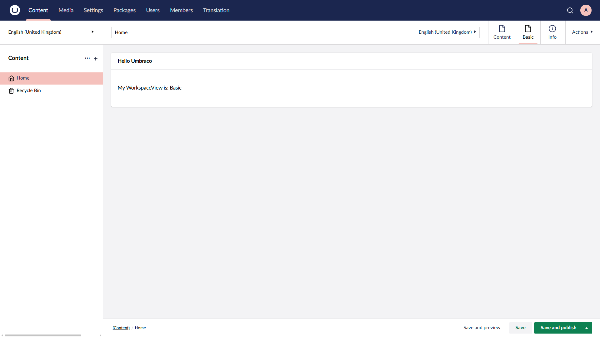 A basic Workspace View in the backoffice.