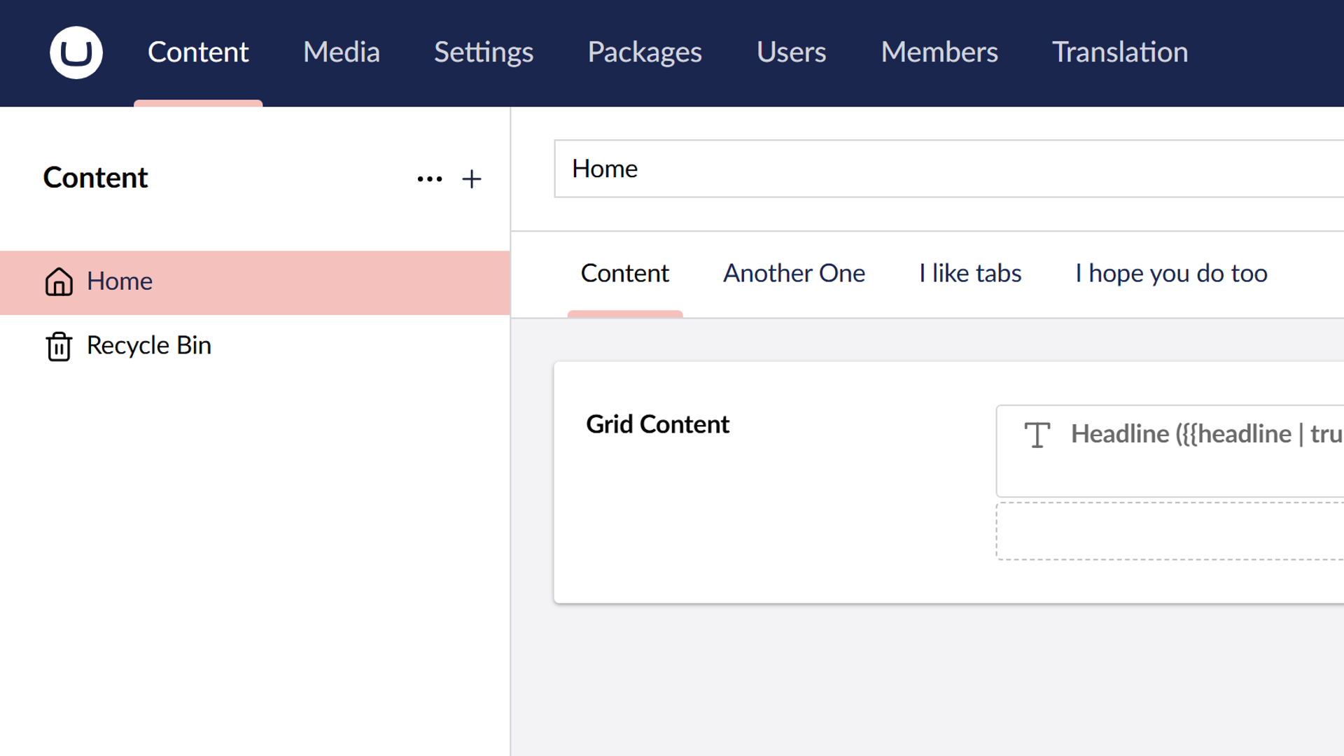 A screenshot of content in the Umbraco Backoffice. There are four tabs to view.